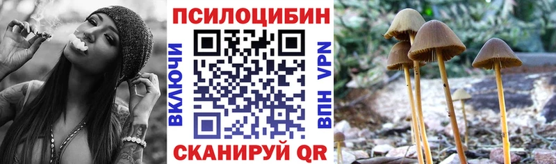 Купить где  Малмыж  Псилоцибиновые грибы мухоморы 
